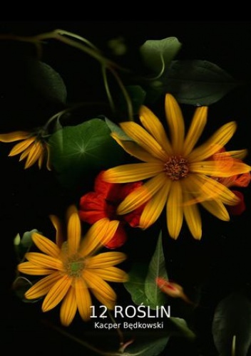 12 Roślin - Będkowski Kacper
