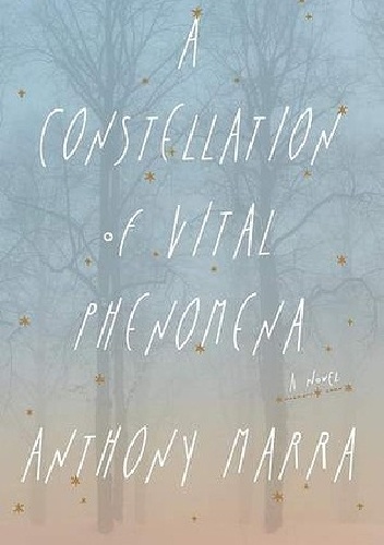 A Constellation of Vital Phenomena - Anthony Marra