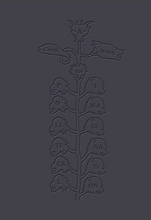 A Cookbook for Political Imagination: Polityczna wyobraźnia – książka kucharska - Sebastian Cichocki, Galit Eilat