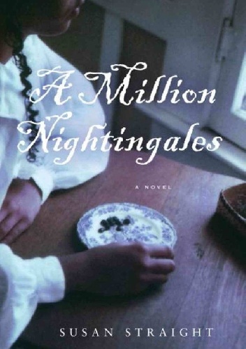 A Million Nightingales - Susan Straight