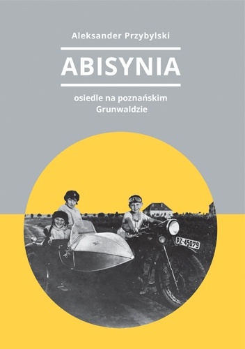 Abisynia – osiedle na poznańskim Grunwaldzie - Aleksander Przybylski