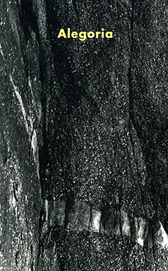 Alegoria - Janina Abramowska