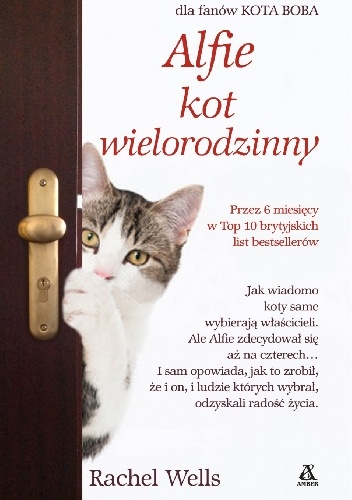 Alfie kot wielorodzinny - Rachel Wells
