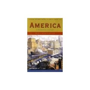 America - David E. Shi