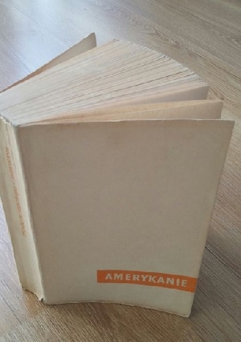 Amerykanie - Stanisław Mierzeński