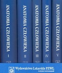 Anatomia człowieka t.1-5 - Adam Bochenek, Michał Reicher