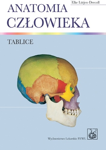 Anatomia człowieka. Tablice - Johannes W. Rohen, Elke Lutjen-Drecoll