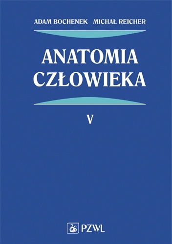 Anatomia człowieka Tom 5 Wydanie 6 - Adam Bochenek, Michał Reicher