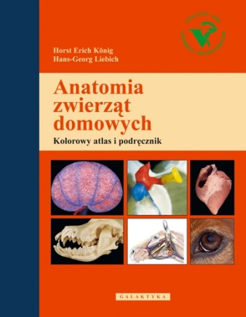 Anatomia zwierząt domowych: kolorowy atlas i podręcznik - Hans-Georg Liebich, Horst Erich König