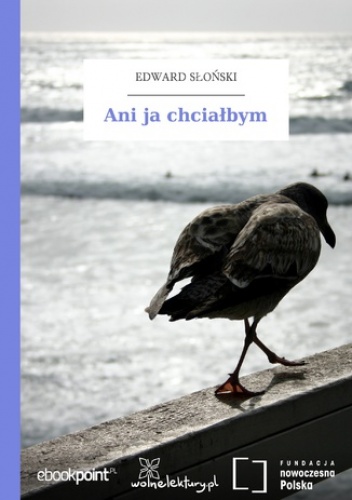 Ani ja chciałbym - Edward Słoński