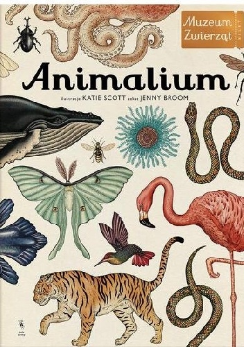 Animalium. Muzeum Zwierząt - Jenny Broom