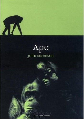 Ape - John Sorenson