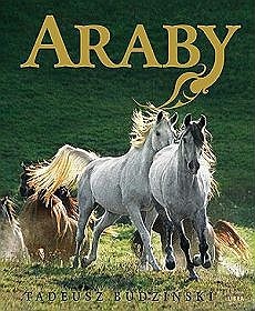 Araby. Dzieci Wiatru - Tadeusz Budziński