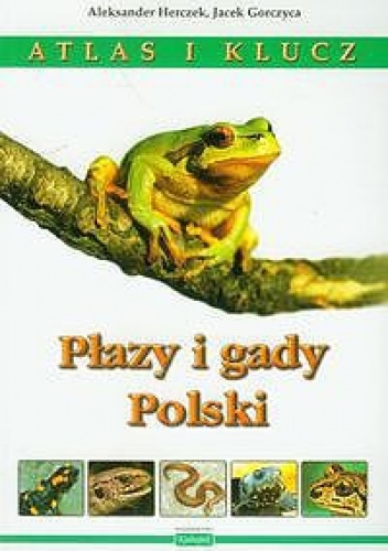 Atlas i klucz. Płazy i gady Polski - Jacek Gorczyca, Aleksander Herczek