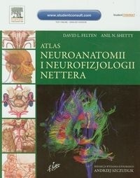 Atlas neuroanatomii i neurofizjologii Nettera - David L. Felten, Anil N. Shetty