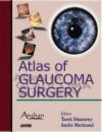 Atlas of Glaucoma Surgery - Tarek Shaarawy, Andre Mermoud