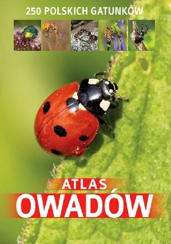 Atlas owadów. 250 polskich gatunków - Jacek Twardowski, Kamila Twardowska