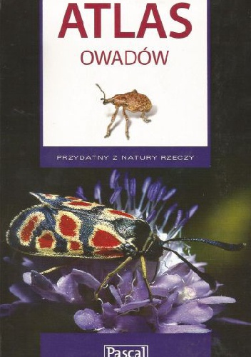 Atlas owadów - Łukasz Przybyłowicz