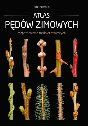 Atlas Pędów Zimowych - Jacek Adamczyk