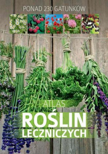 Atlas roślin leczniczych. Ponad 230 gatunków - Małgorzata Mederska