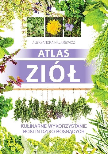 Atlas ziół. Kulinarne wykorzystanie roślin dziko rosnących - Aleksandra Halarewicz