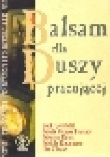 Balsam dla duszy pracującej czyli 101 opowieści o odwadze, współczuciu i twórczym podejściu do pracy - Jack Canfield, Mark Victor Hansen