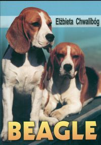 Beagle - Elżbieta Chwalibóg