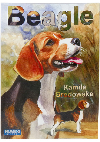 Beagle - Kamila Brodowska