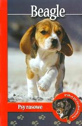 Beagle - Magdalena Anna Pol