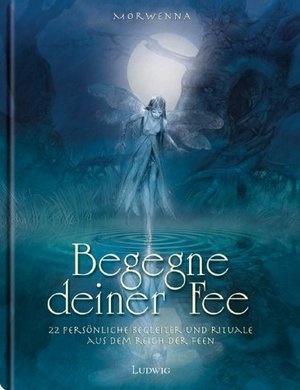Begegne deiner Fee: Kontakt aufnehmen zu einer zauberhaften Welt - Nadja Morwenna