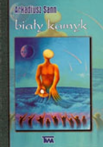 Biały kamyk - Arkadiusz Sann