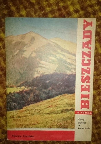 Bieszczady - góry polskie w panoramie