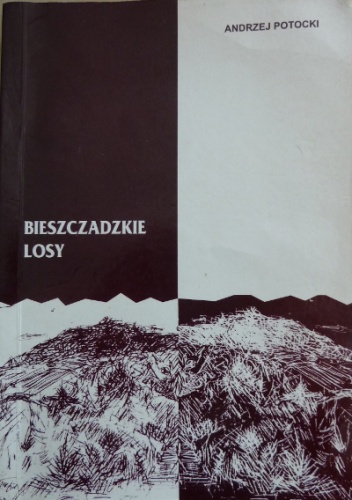 Bieszczadzkie losy. Bojkowie i Żydzi - Andrzej Potocki