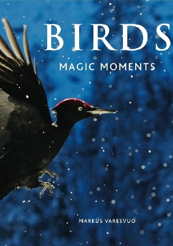 Birds. Magic moments. - Markus Varesvuo