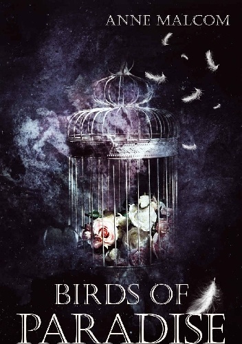 Birds of Paradise - Anne Malcom