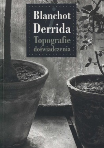Blanchot Derrida. Topografie doświadczenia - Andrzej Leśniak