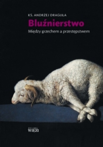 Bluźnierstwo. Między grzechem a przestępstwem - Andrzej Draguła
