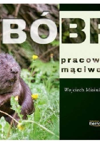 Bóbr pracowity mąciwoda - Wojciech Misiukiewicz, Justyna Maluga