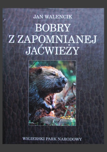 Bobry z zapomnianej Jaćwieży. Wigierski Park Narodowy - Jan Walencik