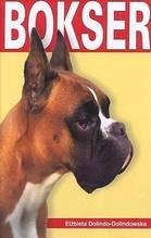 Bokser - Elżbieta Dolindo-Dolindowska