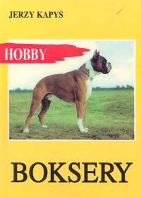 Boksery - Jerzy Kapyś