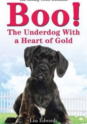 Boo! The Underdog With a Heart of Gold - Lisa Edwards
