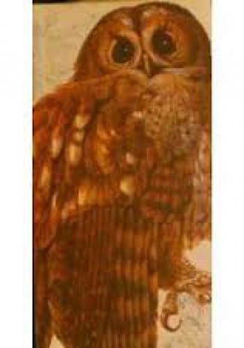 Book of British Birds