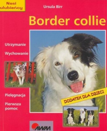 Border collie - Ursula Birr