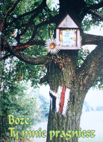 Boże, Ty mnie pragniesz - Nicola o. Lomurno