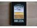 Bruzda - Josemaría Escriva de Balaguer