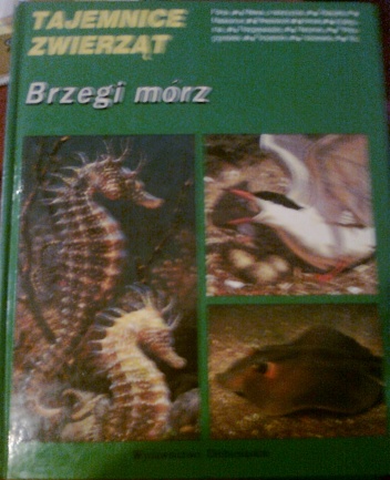 Brzegi mórz - Charles Roux
