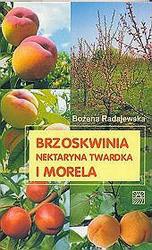 Brzoskwinia, nektarynka, twardka i morela - Radajewska