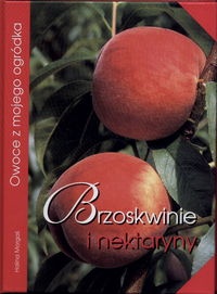 Brzoskwinie i nektaryny. Owoce z mojego ogródka - Halina Morgaś