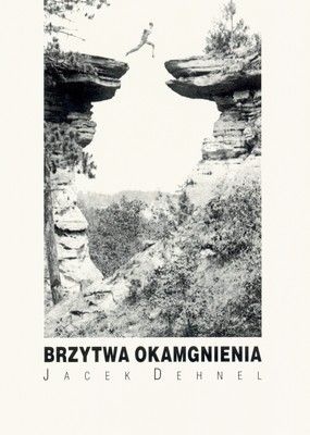 Brzytwa okamgnienia - Jacek Dehnel
